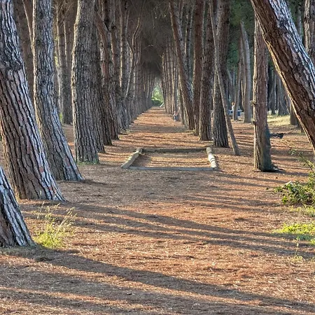 شقة Casa - Dalila *