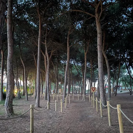 Casa - Dalila Apartman *