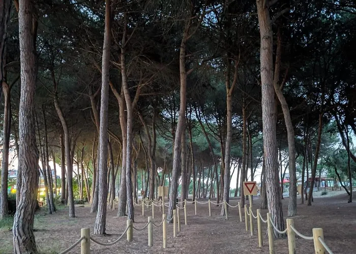 Casa - Dalila شقة *